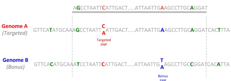 Table 3 summarizes the key genetic map features. Mapping positions of individual markers are given in the S4 file