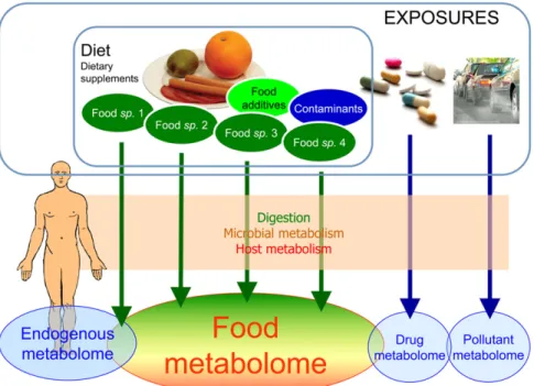FIGURE 1. The human metabolomes. sp., species.