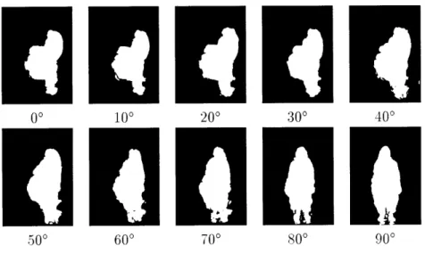 Figure  3-2:  BMRs  (aligned,  averaged,  and  thresholded)  of sitting  action  over  a  90  viewing  arc.
