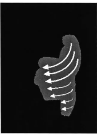 Figure 4-5:  Qualitative  depiction  of the  motion field  for someone  sitting.