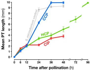 Figure 1. Pollen tube (PT) growth kinetics after conspecific compatible (CCP), conspecific incompatible (CIP), and heterospecific compatible (HCP) pollinations