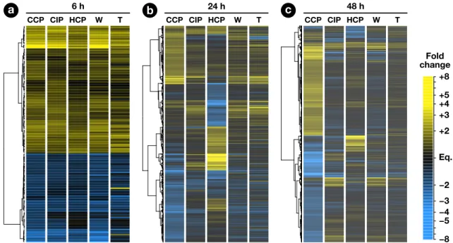 Figure 2. Hierarchical clustering analysis of regulated genes. Each row represents a gene and each column represents a condition