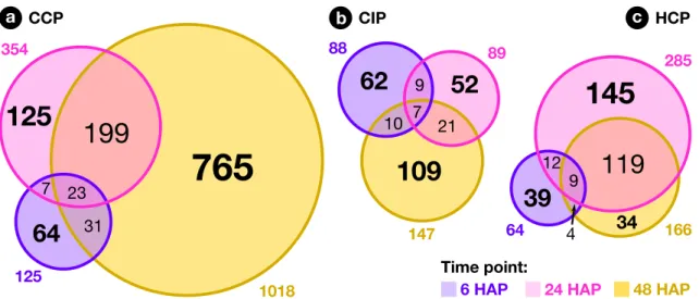 Figure 5. Overlap between time points. Venn diagrams showing the overlap between lists of genes modulated 6, 24 and 48 HAP after CCP, CIP, and HCP.