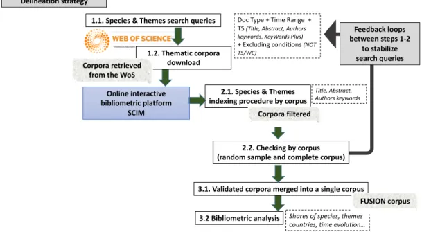 Figure 1. Main steps to build the bibliometric dataset: the delineation strategy. 