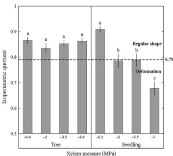 Figure 4. Variation in the isoperimetric quotient (Q) of xylem tracheids during dehydration of Pinus pinaster needles from trees and seedlings