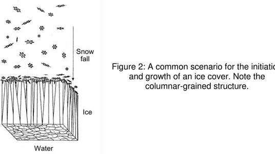 Figure 2: A common scenario for the initiation  and growth of an ice cover. Note the 
