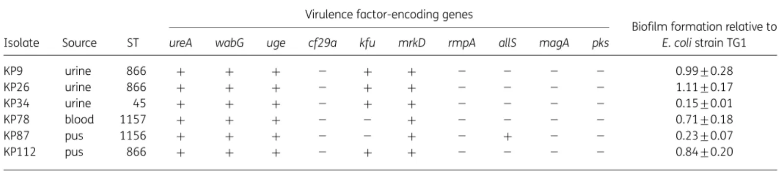 Table 2. STs, virulence factor-encoding genes and biofilm formation in OXA-48-producing K