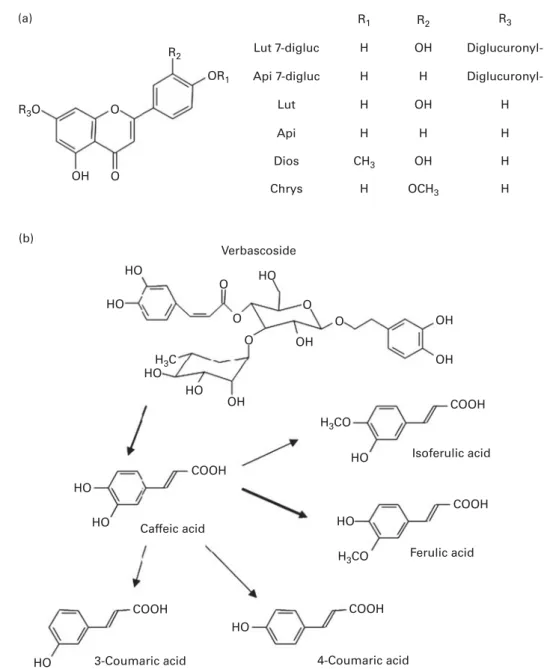Fig. 3. (a) Structure of lemon verbena flavones 7-diglucuronides and flavone aglycones identified after hydrolysis with b-glucuronidase/sulphatase in the urine of rats receiving lemon verbena infusion