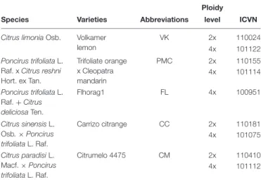 TABLE 1 | Citrus varieties used for physiological and biochemical analysis.
