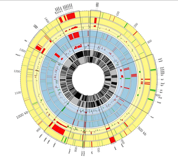FIGURE 3 | Circos genome diagram showing differentially expressed genes between the virulent and attenuated strains