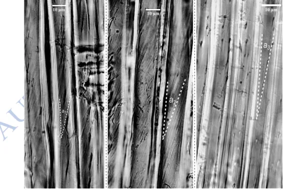 Figure 9: MFA measurement methods, from left to right, a) using the angle of the cracks and pit apertures, b)  the MFA directly, visible after stained with iodine, c) angle of the pit apertures, which are small but still 