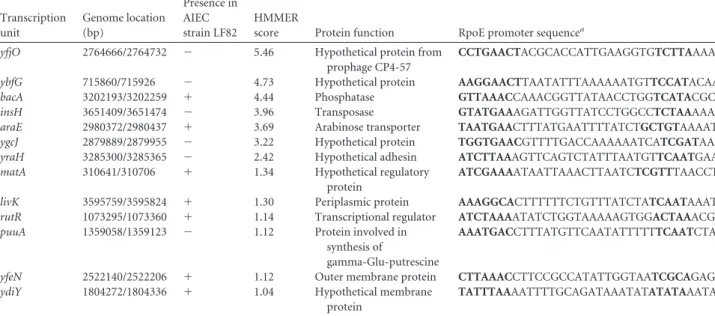 FIG 1 (A) Sequence logos of ␴ E promoter motifs. Motifs were identified upstream of the 28 mapped transcription starts in E