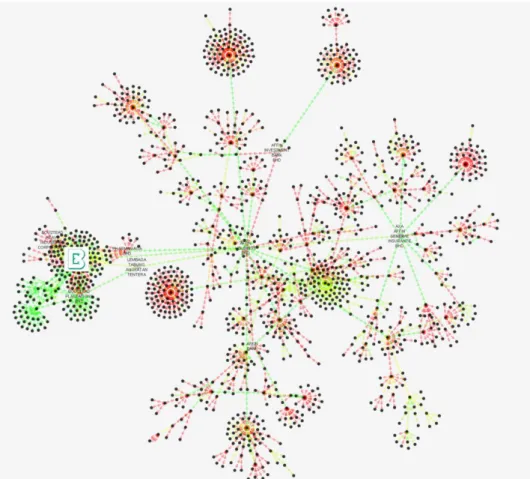 Figure 4.3: Boustead Holdings shareholdings ownership topology using prefuse network layout 
