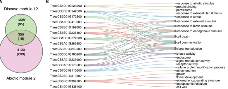 Fig. 5. Overlapping modules within abiotic and disease stress networks. (A) Number of genes in abiotic module 2 and disease module 12 and the overlap between modules