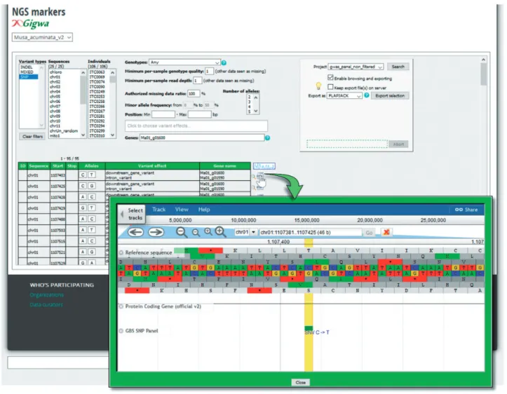 Figure 5. Genotyping search page powered by the GIGWA system. SNPs and InDels can be filtered by a wide range of criteria (chromosomes; Minor Allele Frequency (MAF), missing data, genes, gene effect, etc.) and exported in various formats