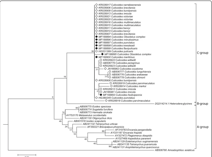 Fig. 3 Cladogram for Cardinium phylogenetic relationships inferred from 16S sequences