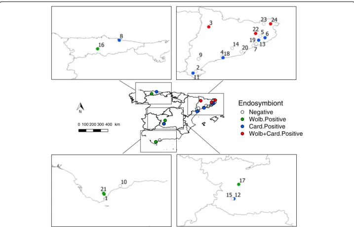 Fig. 1 Sampling sites in Spain where Culicoides spp. were tested for the presence of endosymbionts