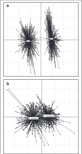 Fig. 4 Results of principal component analysis on a morphological measurements of C. obsoletus and C