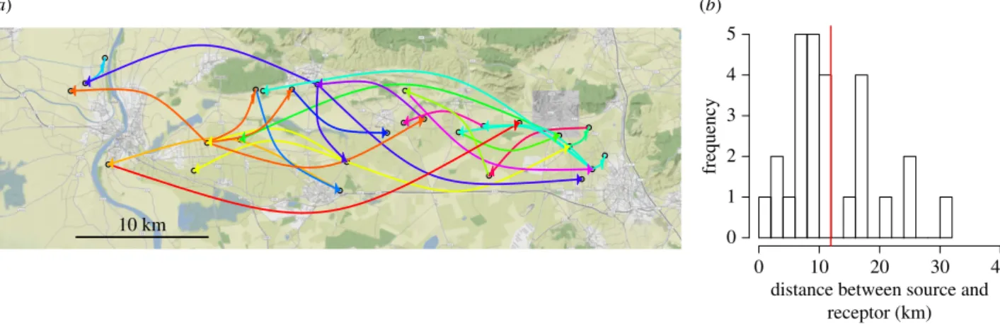 Figure 4. Links inferred between salsify patches based on sampled sets of potyvirus sequences (a; links from the same source have the same colour) and dis- dis-tribution of link distances (b; the vertical red line gives the mean distance)