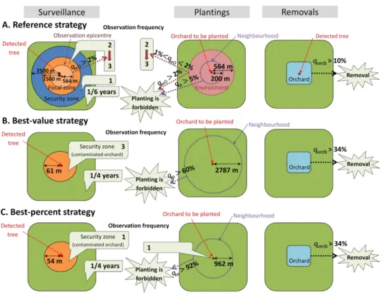 Fig. 4. Management strategies. Surveillance, plantings and removals according to the reference  management (French management in orchards; A), or to the combination of control parameters associated  with best value (B) or the highest percentile (C) of the 