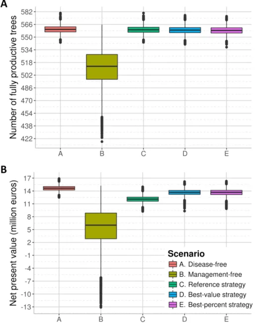 Fig. 5. Boxplots of Y (equivalent number of fully productive trees per hectare and per year, A), and NPV (net  present value of all orchards of the landscape, B) after 30 years of sharka management