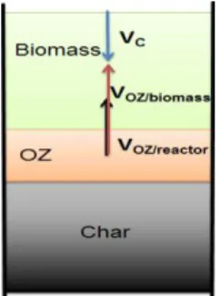 Figure 3. Simplified sketch illustrating OZ velocities and compaction velocity in fixed bed 