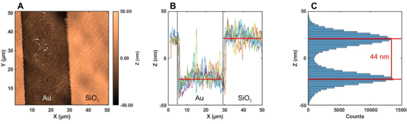 Figure S4: (A) AFM topography image of the Au/SiO 2 interface. (B) Selected line scans from the AFM image