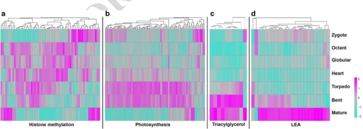 Fig. 4   Distinct expression trends of DEGs. Heatmaps of DEGs gen- gen-erated with the R pheatmap package