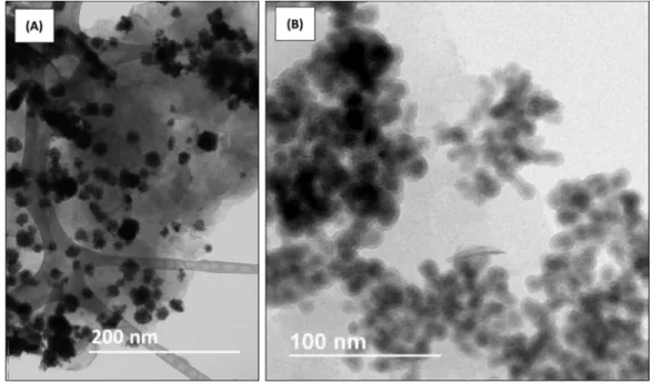 Figure 1. Transmission electron microscopy (TEM) images of MMT-Fe at different magnifications,  showing the dispersion of the aggregates (A) and their microstructure (B)