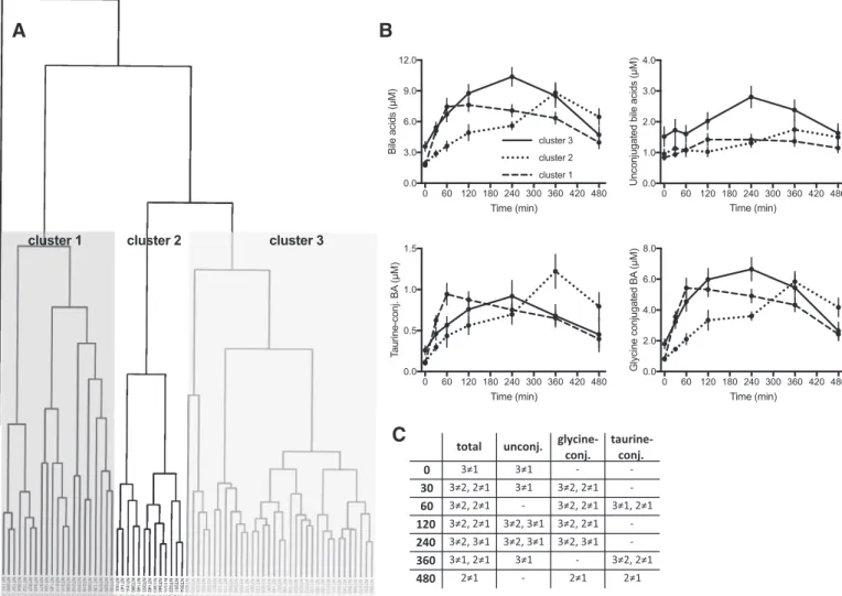 Fig. 5. Clustering of volunteers according to postprandial plasma BA kinetics. A: clustering of volunteers based on plasma concentration profiles of bile acids during the MMTT