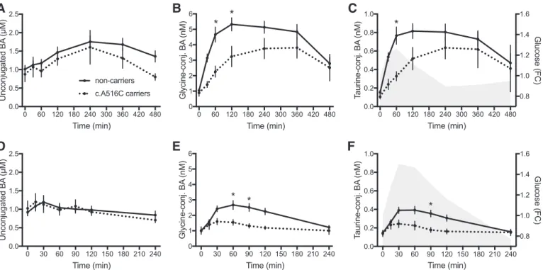 Fig. 6. Effects of the functional polymorphism A516C in SLCO1A2 (OATP1A2) on plasma BA kinetics