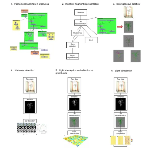 Fig. 1: Use Cases in Plant Phenotyping. 1) The Phenomenal workflow in Ope- Ope-nAlea’s visual programming environment
