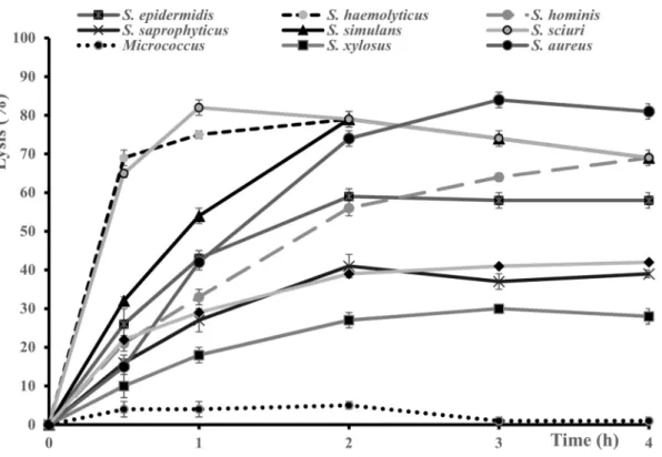 Figure 4. Lytic activity of Sle1 crude protein extract at pH 7.0 and 37 ◦ C on several species of Staphylococcus and on Micrococcus aurantiacus (S
