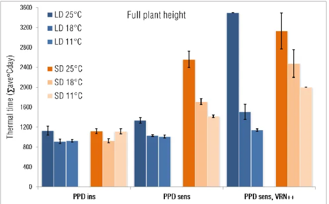 Figure 2 Thermal times collected till attaining the final plant height in the three phenotypic  groups  of  19  wheat  cultivars  at  6  various  environments  combining  2  photoperiod  ×  3  temperature  regimes  (Error  bars  are  based  on  standard  d