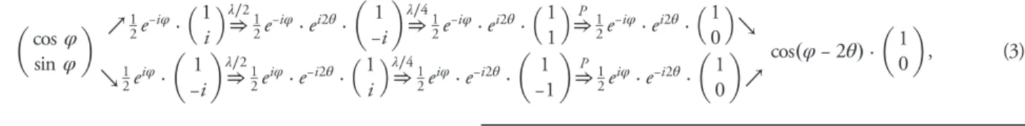 Fig. 4. Polarization measurement of the radially polarized beam. (a) Beam profile without polarization selection