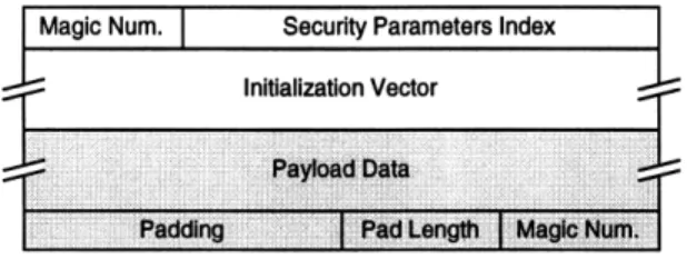 Figure  4-6:  Our  ESP  header  format.