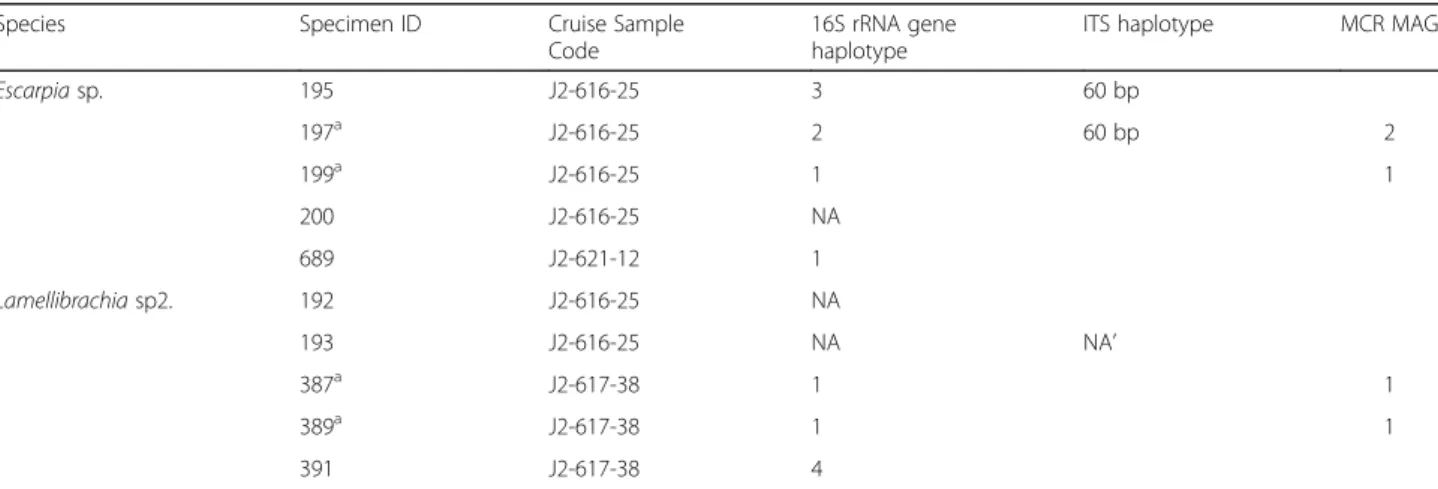 Table 1 Summary of the vestimentiferan specimens processed in this study for microscopy, phylogeny, and metagenomics