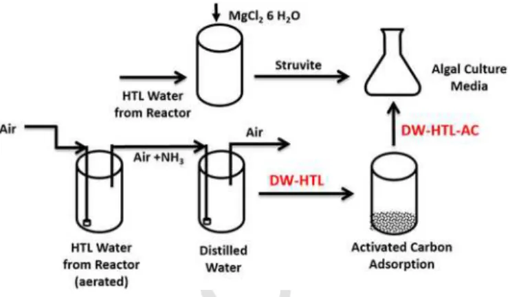 Fig. 1. Process A developed for pre-treatment of hydrothermal liquefaction (HTL) waste- waste-waters for use as an algal growth medium