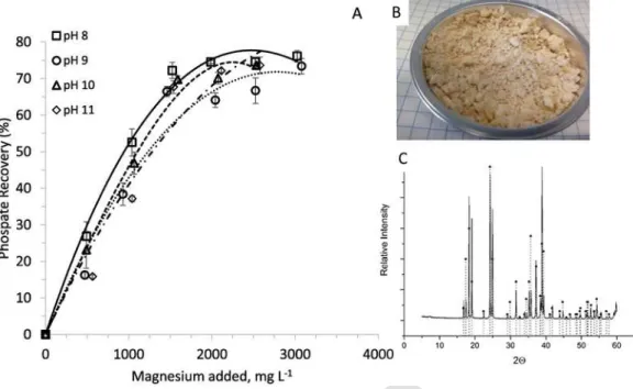 Fig. 3. A. Effect of magnesium dichloride hexahydrate addition and pH on the recovery of phosphate into struvite precipitate in samples of hydrothermal liquefaction wastewater