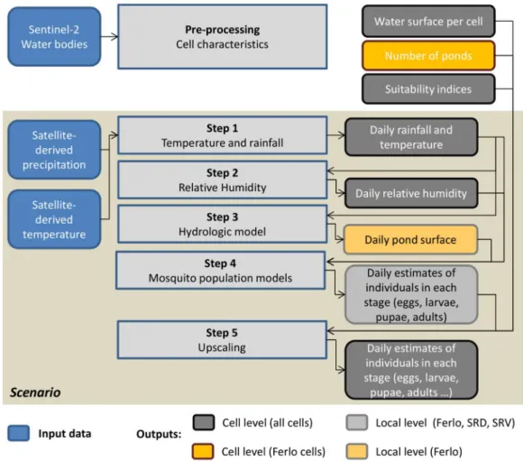 Figure 3. Workflow diagram for the application at regional scale of the mosquito population  models
