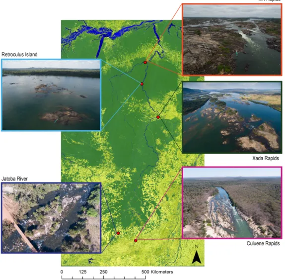 Figure 1. Locations within the Xingu river basin where the five datasets representing a range of  freshwater fish habitat complexity and diversity were collected