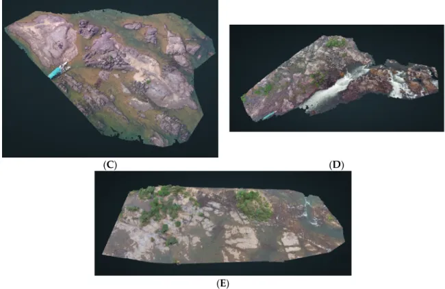 Figure 2. Dense 3D point clouds of the five freshwater habitats in the Xingu river basin