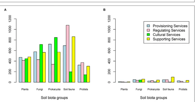 FIGURE 3 | Distribution of total studies (A) and potentially useful studies (B) per main soil biotic grouping and ecosystem service group.