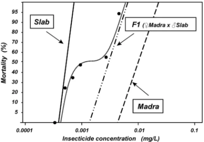 Figure 2 Chlorpyrifos dose-mortality responses observed in Madra and Slab parental strains, their F1 ( ♀ Madra × ♂ Slab) and the offspring of ♀ F1 backcrossed to ♂ Slab