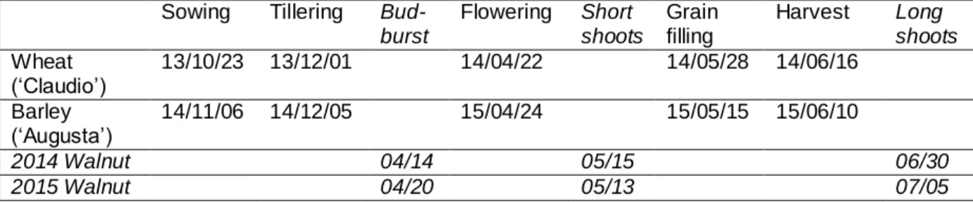 Table 1. Compared phenology of cereals and  trees for the 2 years of the study. The dates are  the beginning of each cereals stage and of hybrid walnut  budburst and the end of walnut short  and long shoots expansion