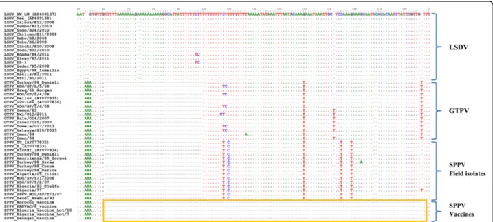 Fig. 1 Multiple sequence alignments showing a 84-nucleotide deletion in SPPV vaccines