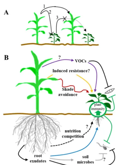 Figure  1.  Field  and  plant-centered  mechanisms  underlying  microbial  disease 498 