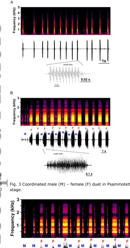 Fig. 3 Coordinated male (M) – female (F) duet in Psammotettix alienus registered during the recognition 