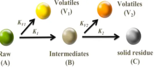 Fig. 1. Two-step kinetic scheme 