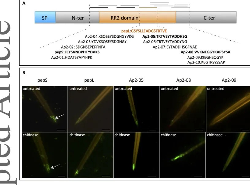 Fig.  2 Interactions of antibodies on an array of peptides representing the diversity of RR-2 proteins 